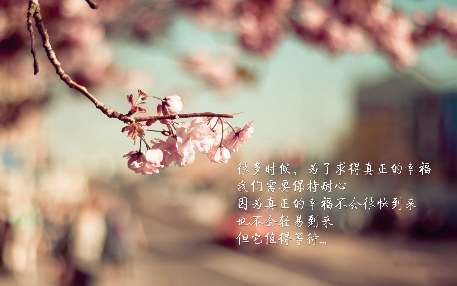 太阳能热水器工程安装图（太阳能热水器按装流程）